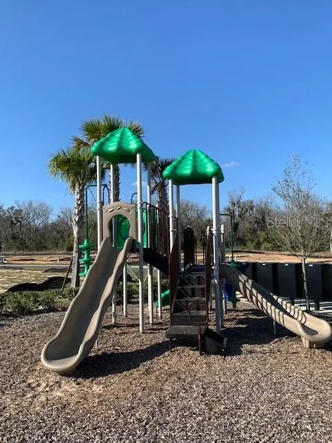 20007 ROYAL TERN COURT Leesburg, FL 34748
