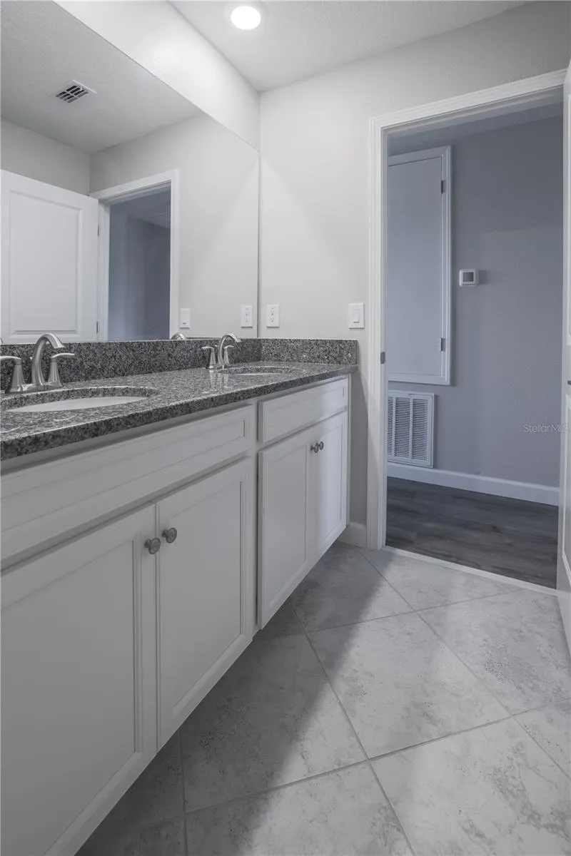 24893 LAMBRUSCO LOOP Lutz, FL 33559
