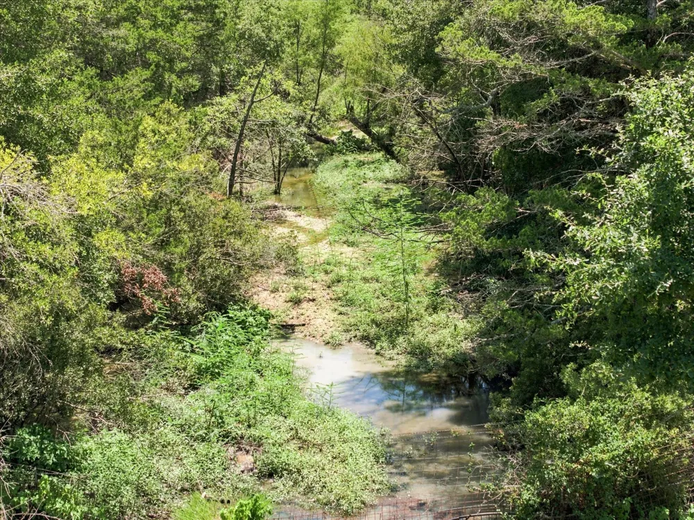 511 LCR 793 Groesbeck, TX 76642