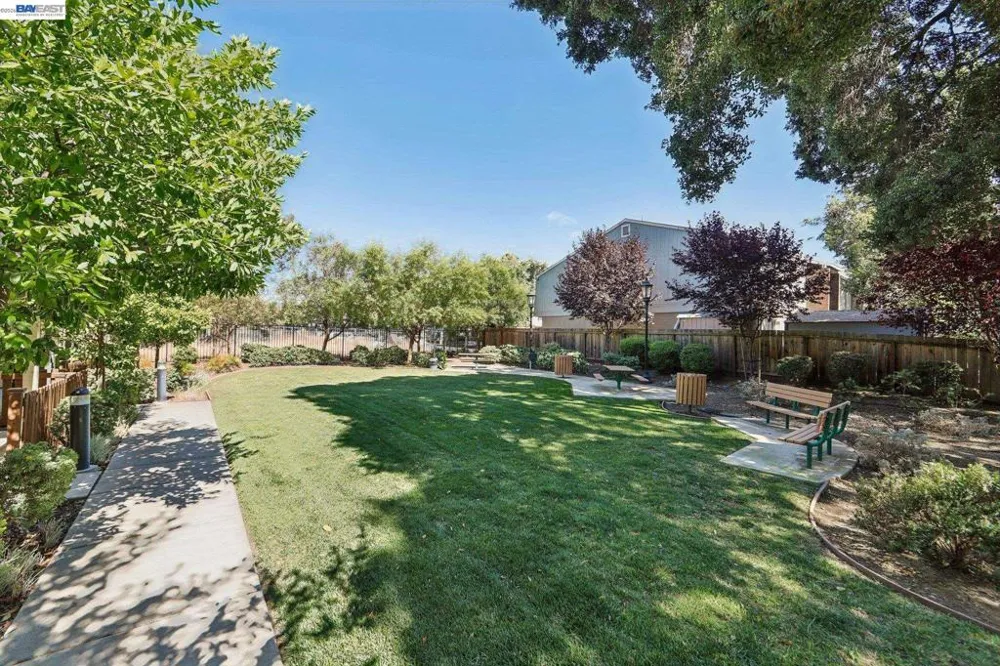 1252 Detroit Ave #5 Concord, CA 94520