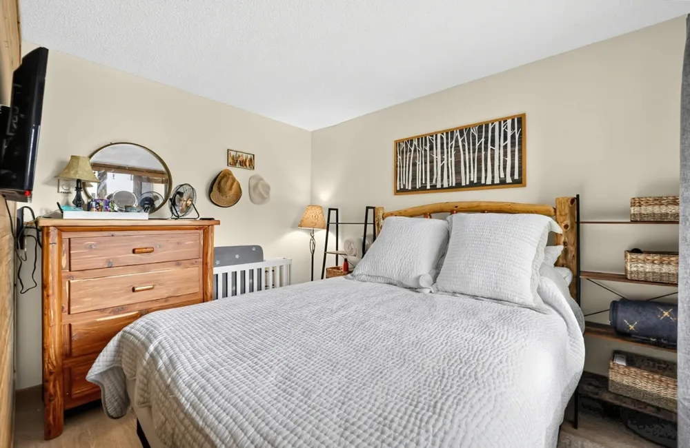 6520 Schuss Mountain Lane Custer Township, MI 49659