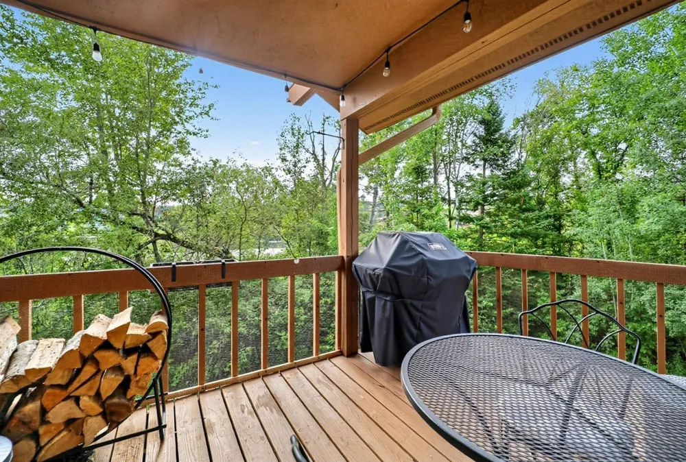 6520 Schuss Mountain Lane Custer Township, MI 49659