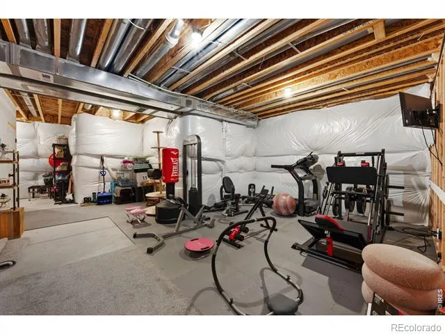 1584 Thundercloud Drive Windsor, CO 80550