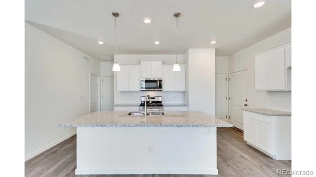 393 Amory Street Watkins, CO 80137