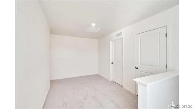 393 Amory Street Watkins, CO 80137
