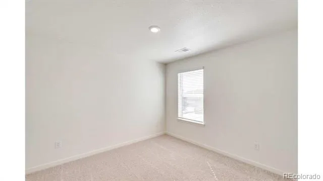 393 Amory Street Watkins, CO 80137