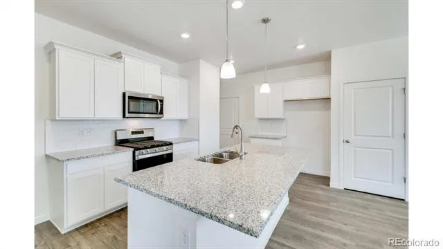393 Amory Street Watkins, CO 80137