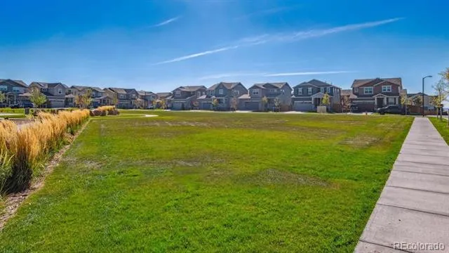 393 Amory Street Watkins, CO 80137
