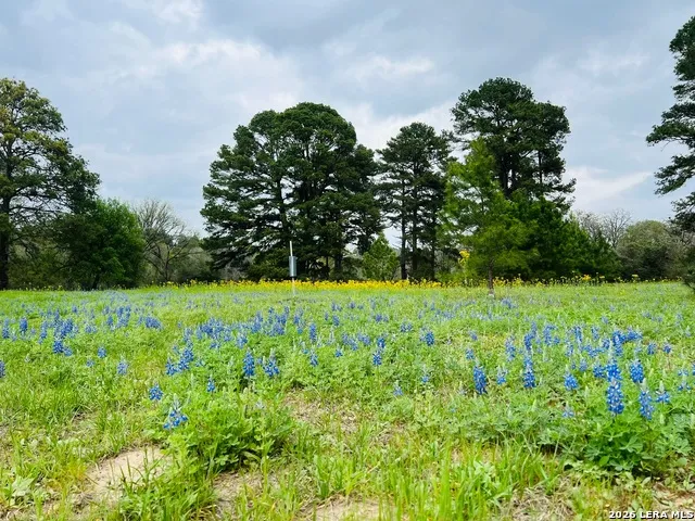 322 Mooney Road Bastrop, TX 78602