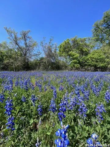 322 Mooney Road Bastrop, TX 78602