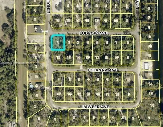 315 LUDLOW AVENUE Lehigh Acres, FL 33972