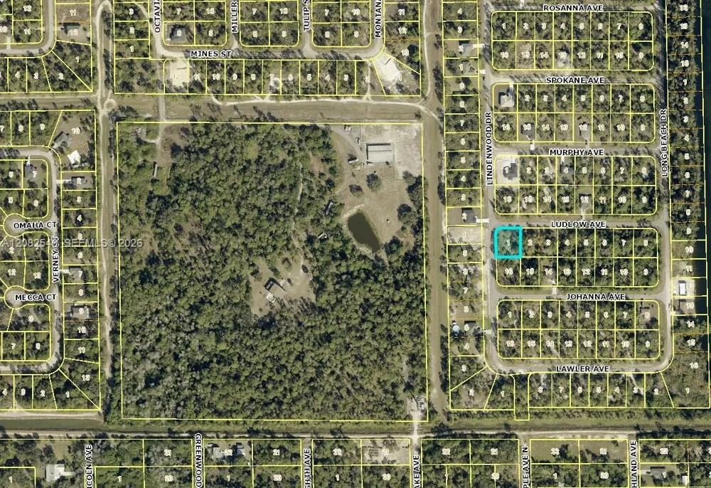 315 LUDLOW AVENUE Lehigh Acres, FL 33972