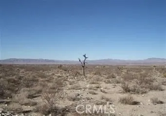 37105 Richard Lucerne Valley, CA 92356