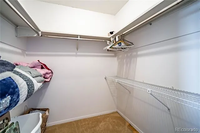 1625 Larimer Street #1608 Denver, CO 80202