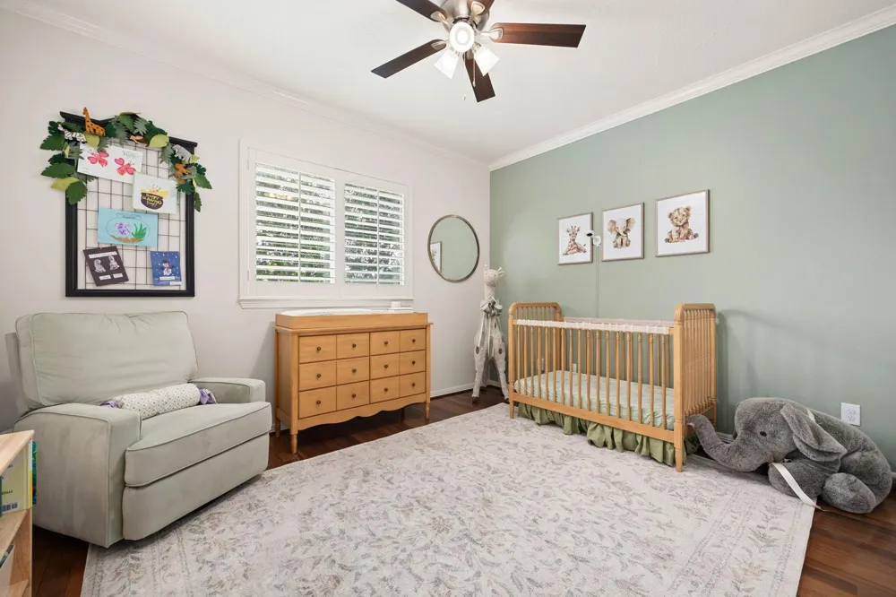 137 White Drive Bellaire, TX 77401