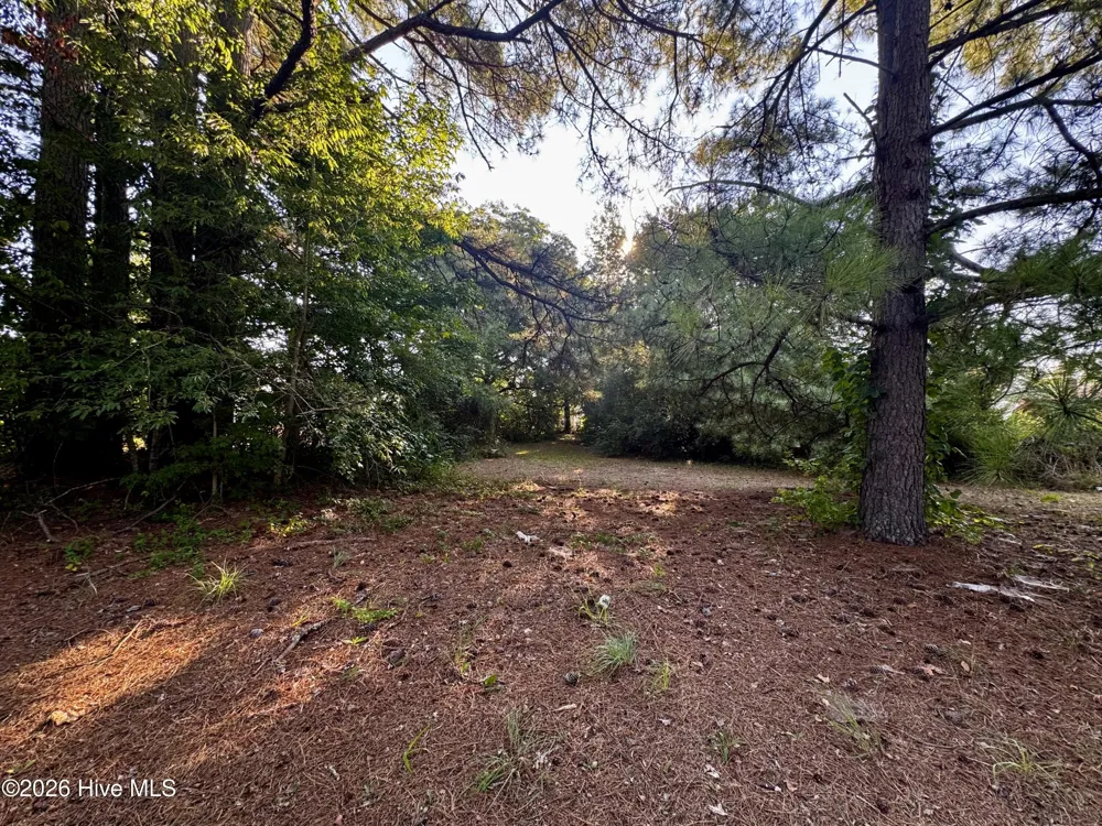 305 Keion Crossen Street Garysburg, NC 27831