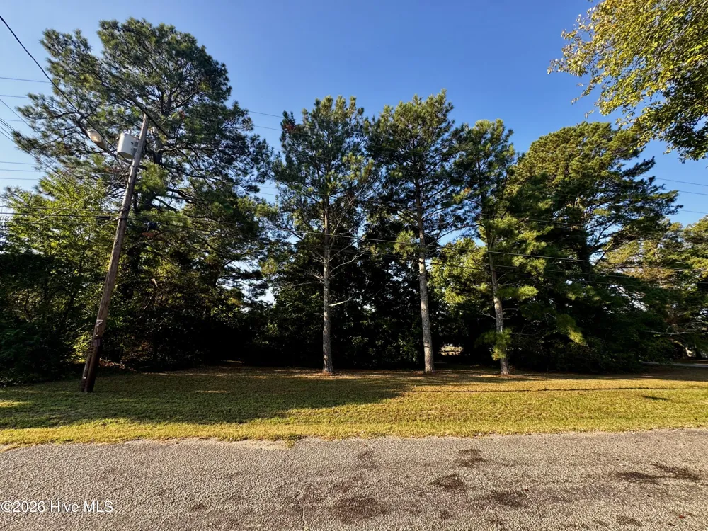 305 Keion Crossen Street Garysburg, NC 27831