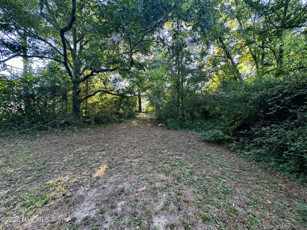 305 Keion Crossen Street Garysburg, NC 27831
