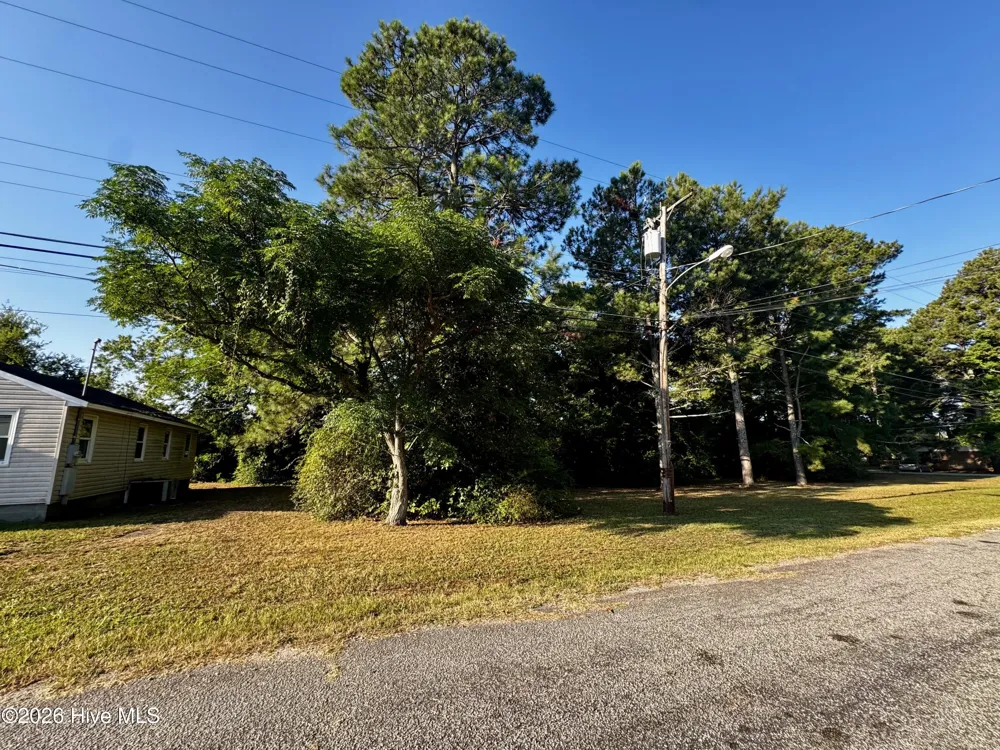 305 Keion Crossen Street Garysburg, NC 27831
