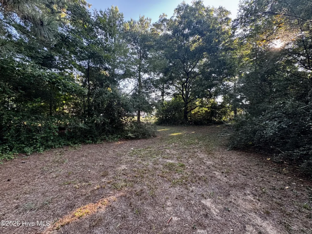 305 Keion Crossen Street Garysburg, NC 27831