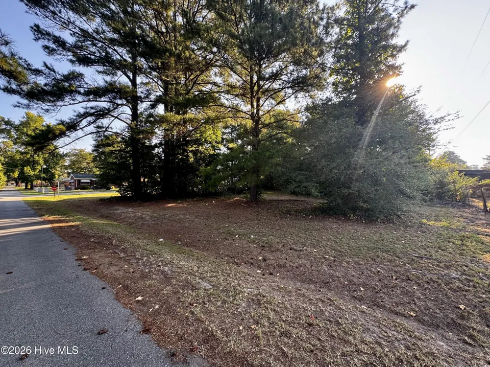 305 Keion Crossen Street Garysburg, NC 27831
