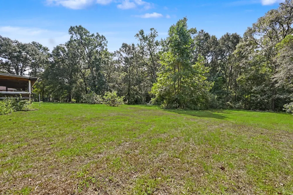 10690 Tanyard Road Willis, TX 77378