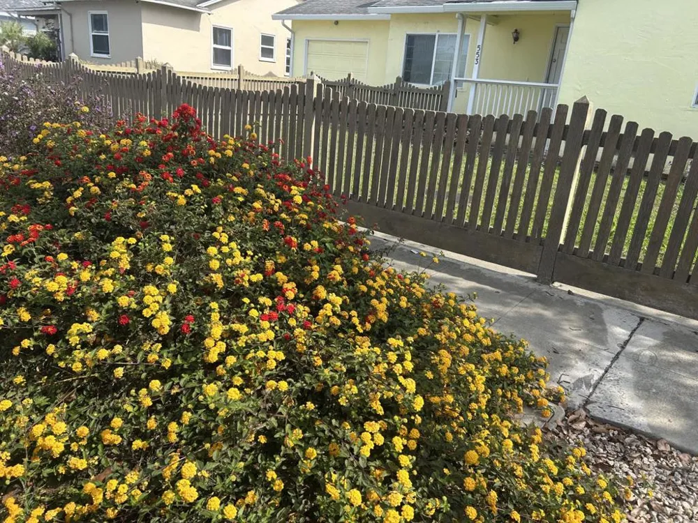Address Not Shown Salinas, CA 93906