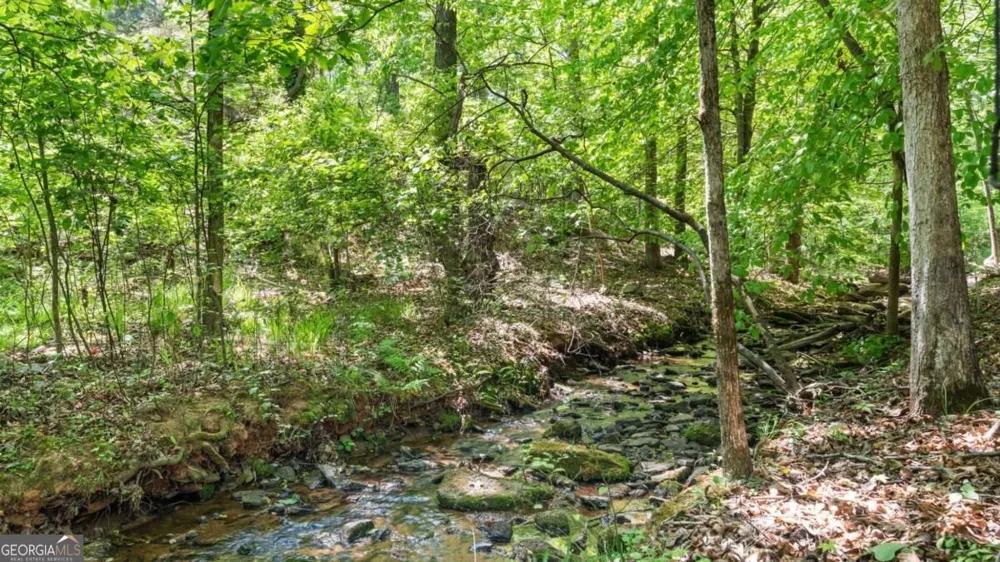 1445 Badingham DR Cumming, GA 30041