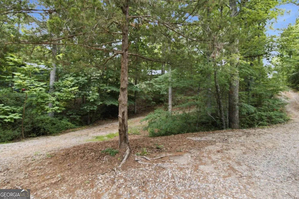 3349 Chestatee RD Gainesville, GA 30506