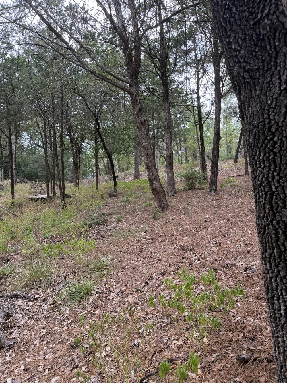Aka Court Bastrop, TX 78602