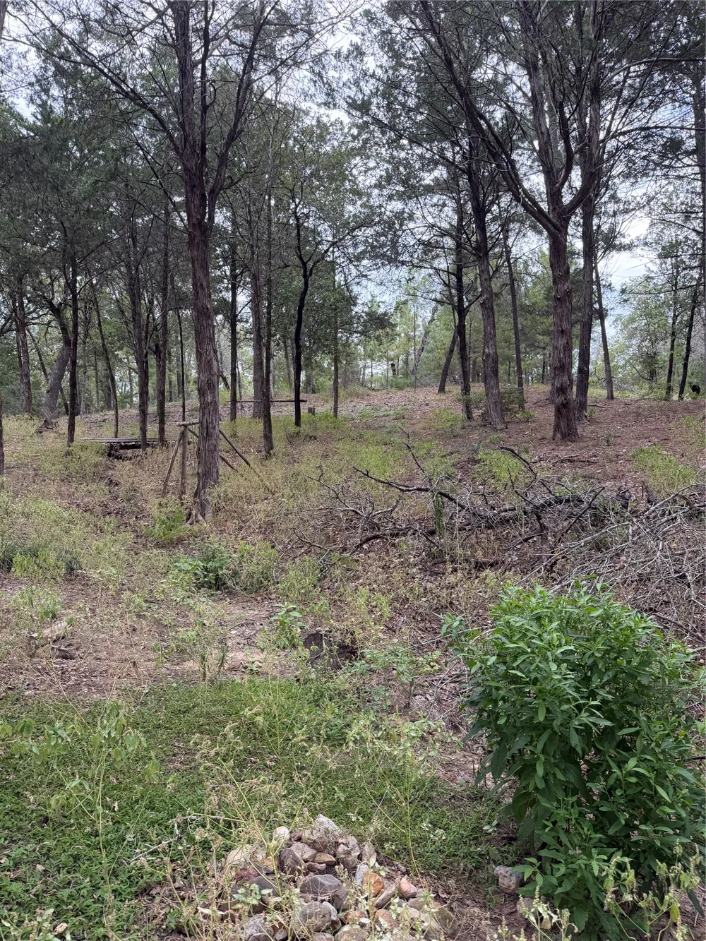 Aka Court Bastrop, TX 78602