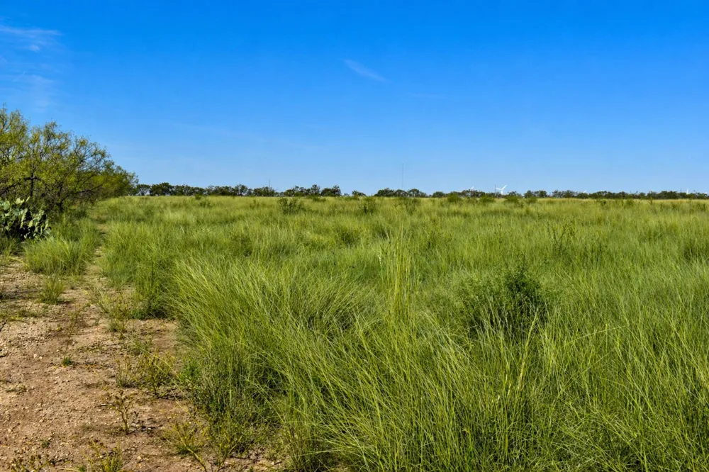 20 CR 144 Brady, TX 76825