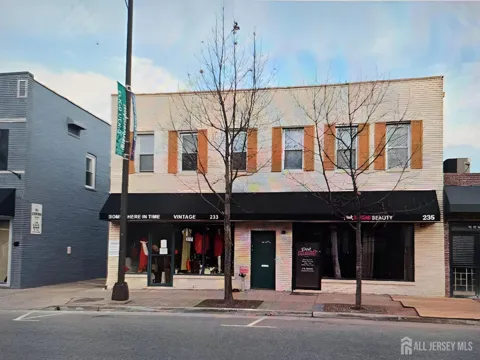 233 Raritan Avenue #B