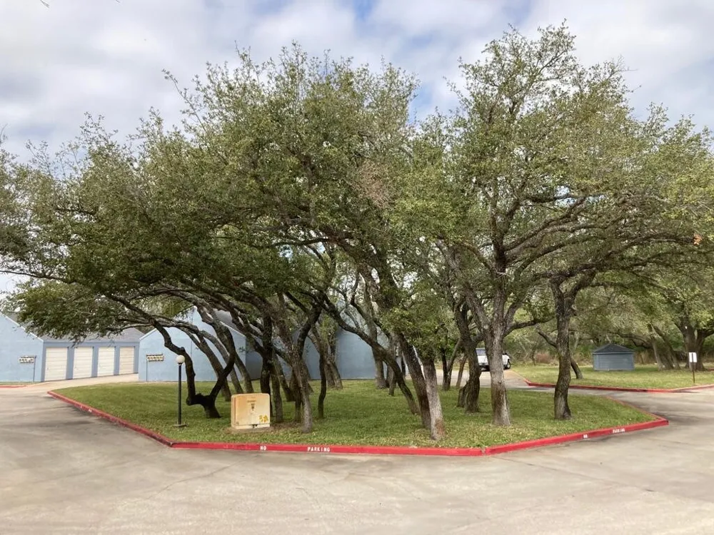 209 Forest Hills #228 Rockport, TX 78382