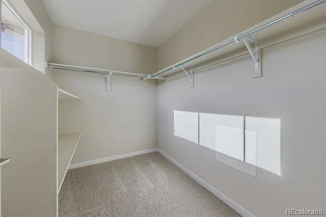 3862 W 83rd Lane Westminster, CO 80031