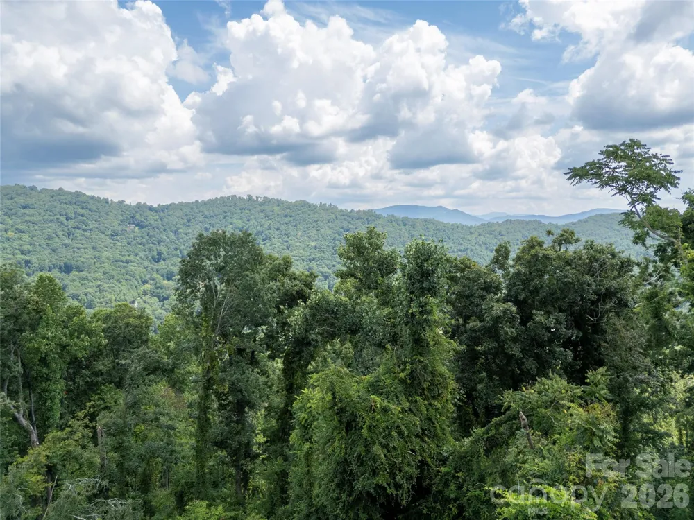647 Town Mountain Road #211 Asheville, NC 28804