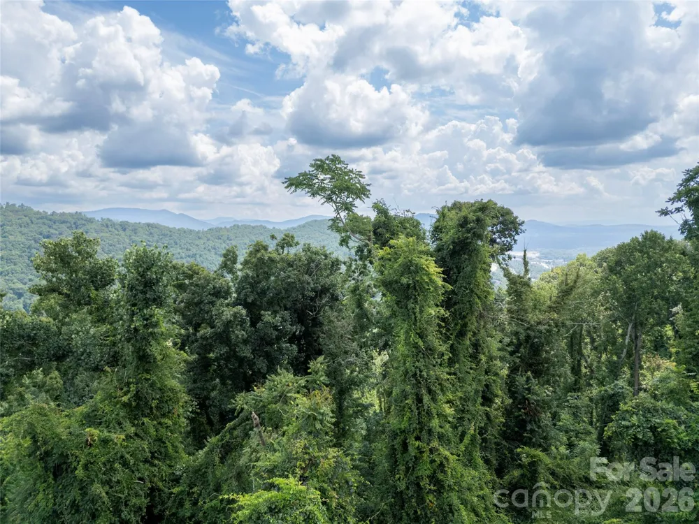 647 Town Mountain Road #211 Asheville, NC 28804
