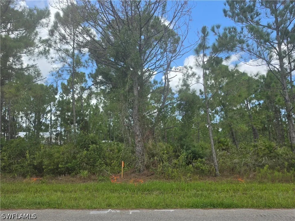 Tompkins Street Port Charlotte, FL 33954