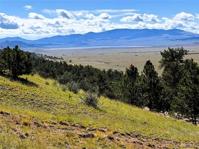 2669 Settele Drive Hartsel, CO 80449
