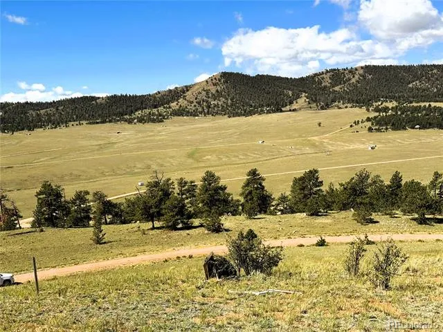 2669 Settele Drive Hartsel, CO 80449