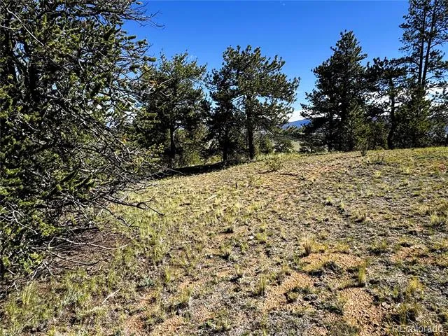 2669 Settele Drive Hartsel, CO 80449
