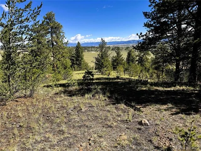 2669 Settele Drive Hartsel, CO 80449