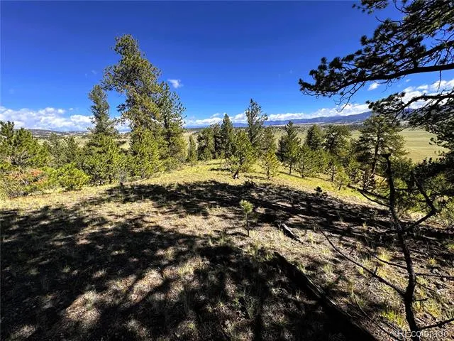 2669 Settele Drive Hartsel, CO 80449