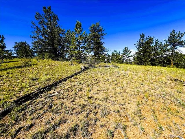 2669 Settele Drive Hartsel, CO 80449