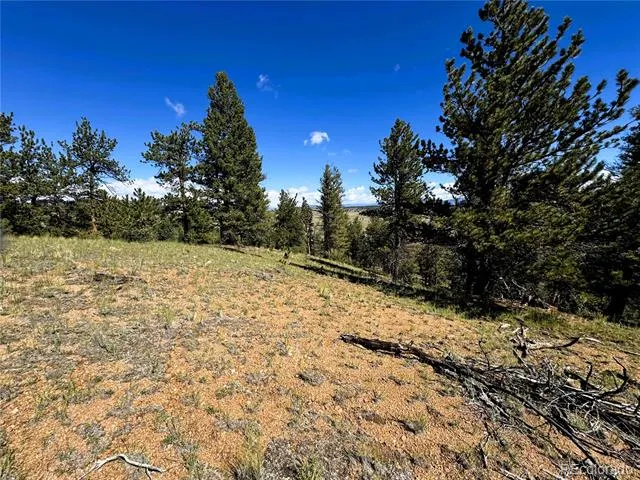 2669 Settele Drive Hartsel, CO 80449