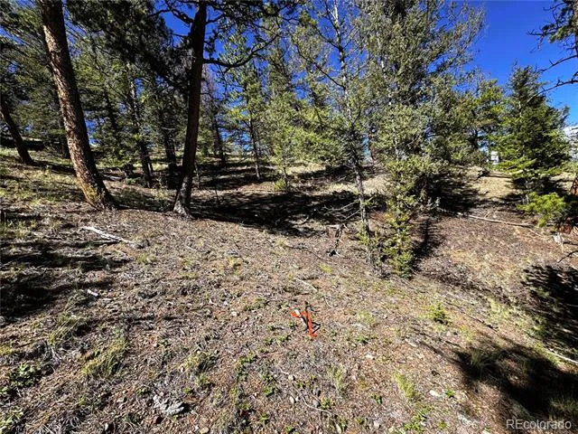 2669 Settele Drive Hartsel, CO 80449