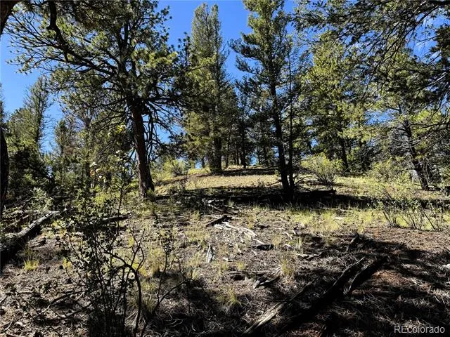 2669 Settele Drive Hartsel, CO 80449