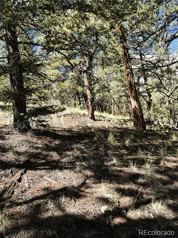 2669 Settele Drive Hartsel, CO 80449