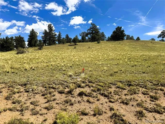 2669 Settele Drive Hartsel, CO 80449