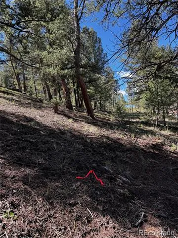 2669 Settele Drive Hartsel, CO 80449